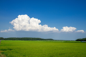 田園風景