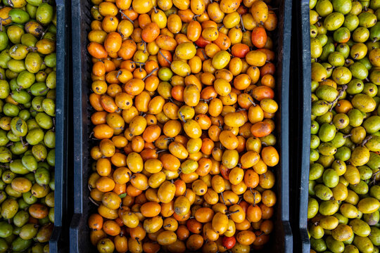Red mombin boxes, or Seriguela in Portuguese, at the wholesale market stall, on Sao Paulo city, Brazil