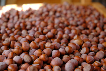 hazelnuts on a table