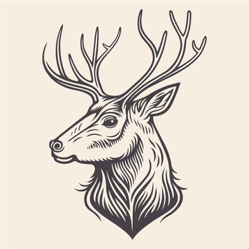 Deer head design vector illustration.