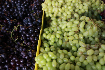 grapes at the fruit market