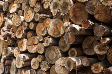 Pile of wood to provide firewood for thermal energy