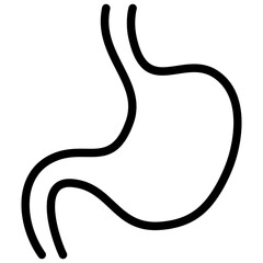 digestive anatomy. stomach illustration