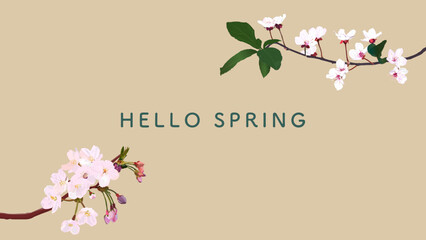 2種類の桜の花の背景バナーテンプレート、文字スペース、春、カード、横