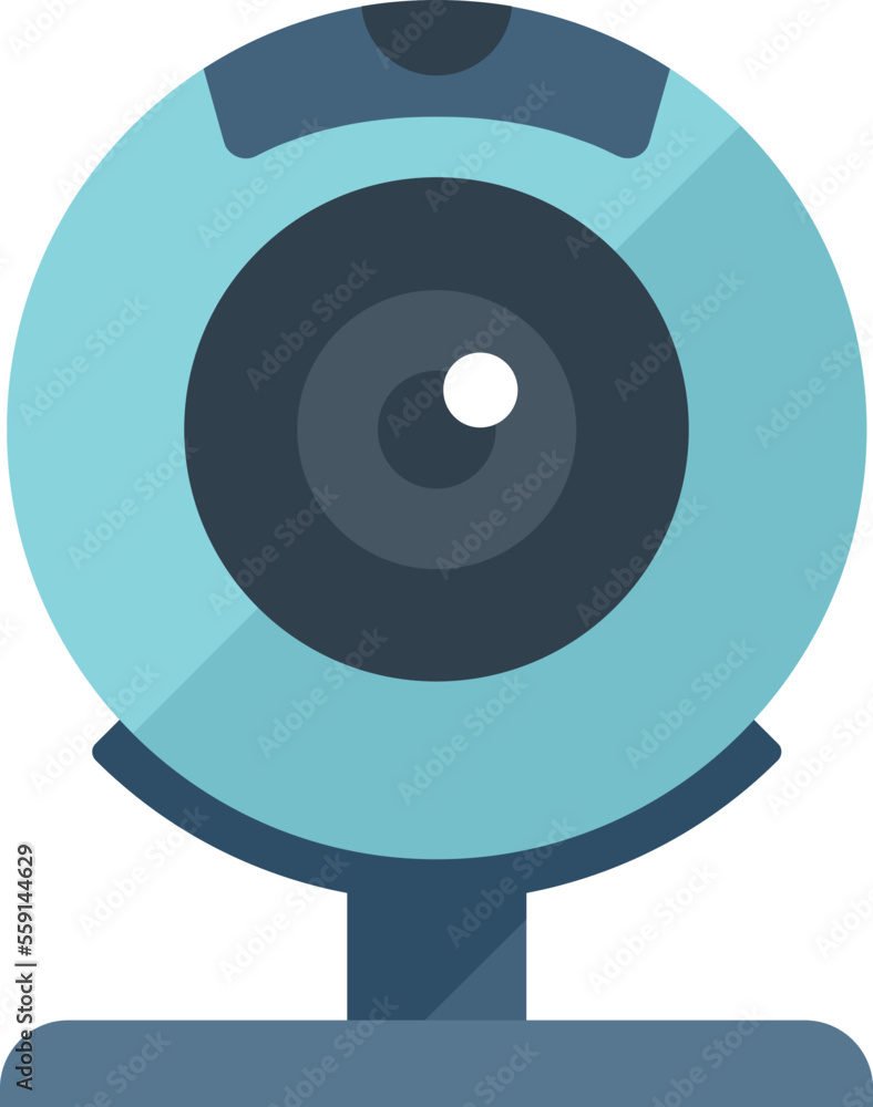 Poster web camera control icon flat vector. data system. remote server isolated