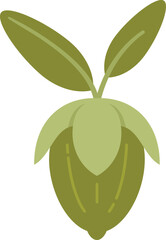 Jojoba leaf icon flat vector. Aroma herb. Glass medicine isolated