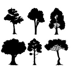 silhouette tree vector illustration
