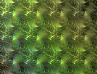Fototapeta premium Imaginatory fractal abstract background Image