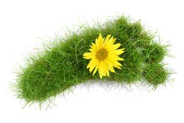 Grüner Fußabdruck aus Gras mit Blume - Freigestellt