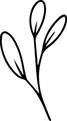 Hand drawn line art floral decorative elements, leaves, flowers, herbs and branches botanical doodles