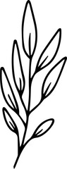 Hand drawn line art floral decorative elements, leaves, flowers, herbs and branches botanical doodles