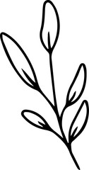 Hand drawn line art floral decorative elements, leaves, flowers, herbs and branches botanical doodles
