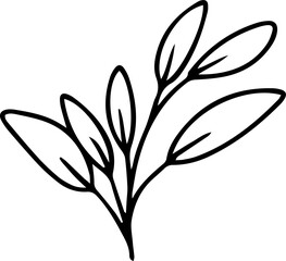 Hand drawn line art floral decorative elements, leaves, flowers, herbs and branches botanical doodles