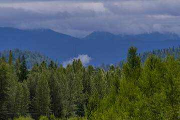 Fototapeta premium nature sceneries along the Highway from Prince George to Jasper National Park, Alberta, Canada 
