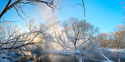 Winter sunny foggy landscape with trees and river