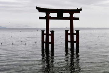 夜明けに集う水鳥と滋賀県白鬚神社の鳥居
