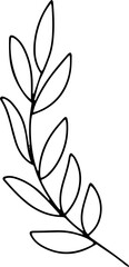 Hand drawn line art floral decorative elements, leaves, flowers, herbs and branches botanical doodles