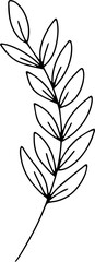 Hand drawn line art floral decorative elements, leaves, flowers, herbs and branches botanical doodles