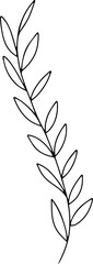 Naklejka premium Hand drawn line art floral decorative elements, leaves, flowers, herbs and branches botanical doodles