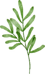 beautiful bouquet of watercolor flowers and leaves Watercolor floral elements