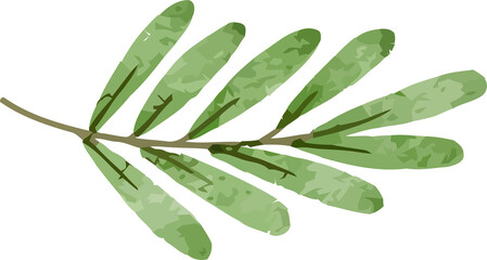 beautiful bouquet of watercolor flowers and leaves Watercolor floral elements