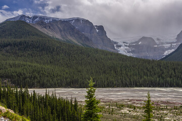 Fototapeta na wymiar nature sceneries along the Highway from Prince George to Jasper National Park, Alberta, Canada 
