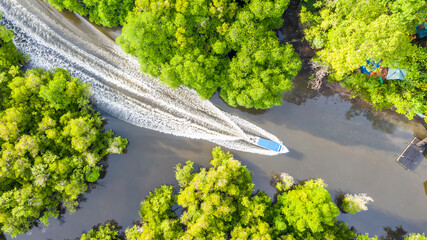 aerial view of mangrove forest at Sepilok Laut, Sabah Borneo, Malaysia.