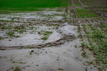 Sehr nasser Ackerboden nach Starkregen