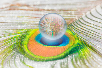 Peacock in a crystal ball on a peacock feather