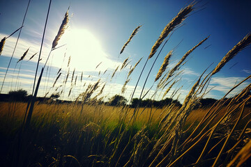 Obraz premium tall grass and a stunning sky. Generative AI