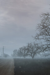 Fototapeta na wymiar A foggy road running through the rails
