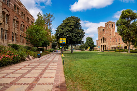 Los Angeles, USA. September 20, 2022. Diminishing perspective of footpath by grassy landscape with Royce Hall in the background under blue sky at UCLA campus