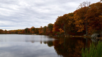 autumn trees reflected in water