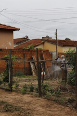 old farmer watering his vegetable garden for better cultivation