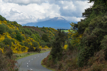 Milford road in  Eglinton Valley, Fjordland, New Zealand,