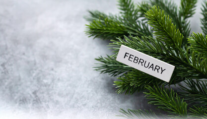 Hello february and winter background with spruce branches - obrazy, fototapety, plakaty
