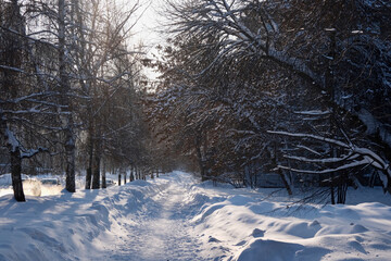 Winter path in the frozen city