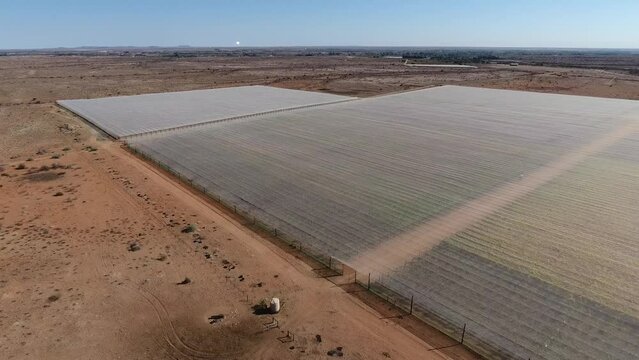 Aerial view of vineyards of a farm outside Upington, South Africa