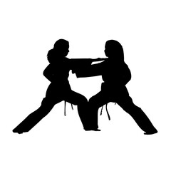 silhouette of a martial arts move with a transparent background