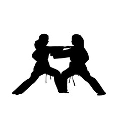 silhouette of a martial arts move with a transparent background