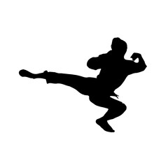Fototapeta na wymiar silhouette of a martial arts move with a transparent background