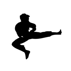 silhouette of a martial arts move with a transparent background