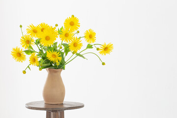 yellow spring flowers in  vase on white background