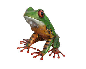 Frog/Red-Eyed Amazon Tree Frog (Agalychnis Callidryas) 3d rendering