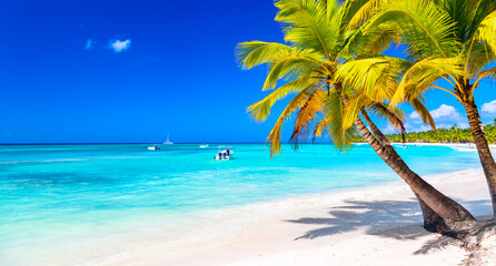 Palm trees on the caribbean tropical beach. Saona Island, Dominican Republic. Vacation travel...