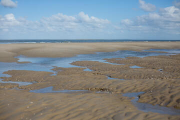 Strand von Texel