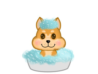 This silly dog's name is Pompam.