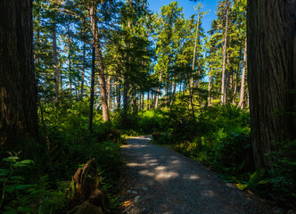 nature sceneries over the Pacific Ocean, along the Vancouver Island coastline, british columbia, Canada