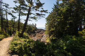 nature sceneries over the Pacific Ocean, along the Vancouver Island coastline, british columbia, Canada