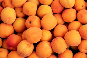 Close-up view of vegetables and fruits sold in the open market.